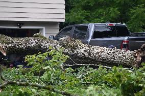 Large Tree Uprooted And Causes Major Damage To Home In Paramus New Jersey During Severe Weather