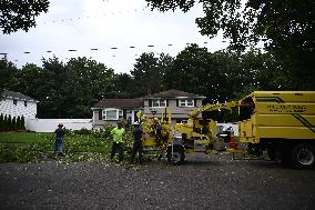 Large Tree Uprooted And Causes Major Damage To Home In Paramus New Jersey During Severe Weather