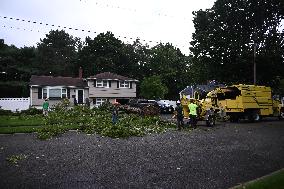 Large Tree Uprooted And Causes Major Damage To Home In Paramus New Jersey During Severe Weather