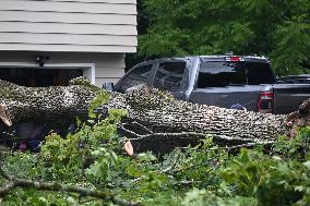 Large Tree Uprooted And Causes Major Damage To Home In Paramus New Jersey During Severe Weather