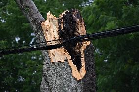 Severe Weather Causes Tree To Damage Home And A Fence With Power Lines Destroyed In Hillsdale New Jersey