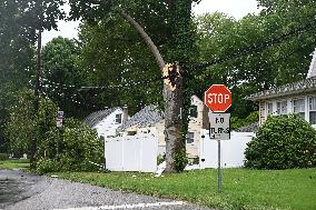 Severe Weather Causes Tree To Damage Home And A Fence With Power Lines Destroyed In Hillsdale New Jersey