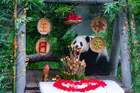 Giant Panda Er Shun Celebrates 17th Birthday at Chongqing Zoo