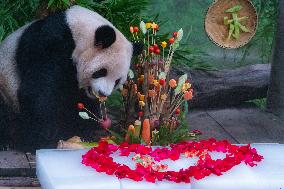 Giant Panda Er Shun Celebrates 17th Birthday at Chongqing Zoo