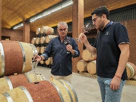 Xinhua Headlines: World-class wine-producing zone emerges in northwest China's Gobi Desert