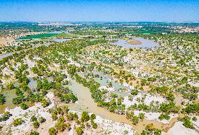 Prevent and Control Desertification in Xinjiang