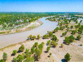 Prevent and Control Desertification in Xinjiang