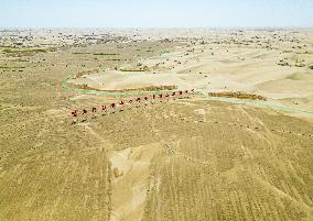 Prevent and Control Desertification in Xinjiang