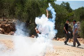 Palestinians Protest Against Israeli Settlements - West Bank