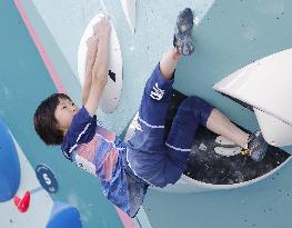 Paris Olympics: Sport Climbing