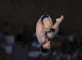 Paris Olympics: Diving