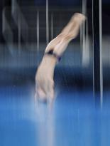 Paris Olympics: Diving