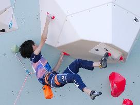 Paris Olympics: Sport Climbing