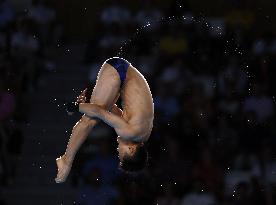 Paris Olympics: Diving