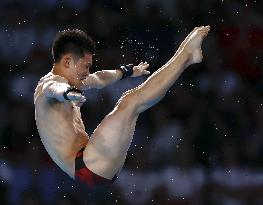 Paris Olympics: Diving