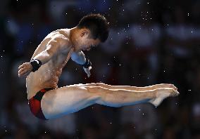 Paris Olympics: Diving