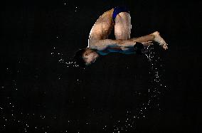 Paris 2024 - Diving