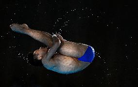 Paris 2024 - Diving