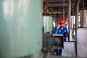 CHINA-NORTHEASTERN PROVINCES-PETROCHEMICAL INDUSTRY-DEVELOPMENT (CN)