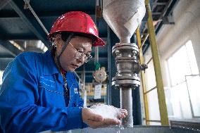 CHINA-NORTHEASTERN PROVINCES-PETROCHEMICAL INDUSTRY-DEVELOPMENT (CN)