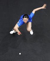 Paris Olympics: Table Tennis