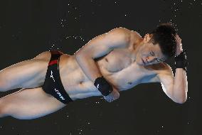 Paris Olympics: Diving