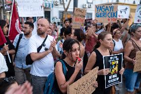 Turkish Animal Rights Activists Protest Against ‘Massacre Law’ - Izmir