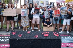 Turkish Animal Rights Activists Protest Against ‘Massacre Law’ - Izmir