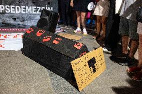 Turkish Animal Rights Activists Protest Against ‘Massacre Law’ - Izmir