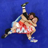 Paris Olympics: Wrestling