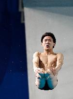 Paris 2024 - Men's Diving 10m Illustrations