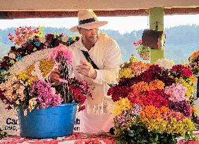 Festival Of Flowers