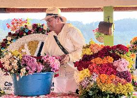 Festival Of Flowers