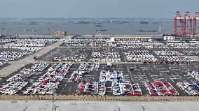 Cars Export at Taicang Port