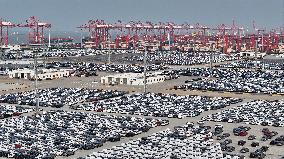 Cars Export at Taicang Port