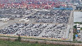 Cars Export at Taicang Port