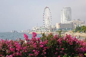 Ferris Wheel in Qingdao