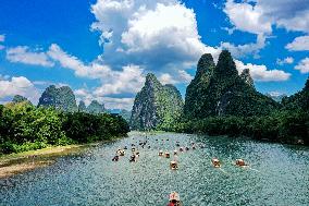 Li River Tour in Guilin