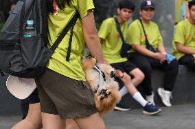 INDONESIA-JAKARTA-BARK DAY FUN RUN