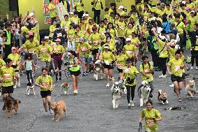 INDONESIA-JAKARTA-BARK DAY FUN RUN