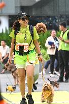 INDONESIA-JAKARTA-BARK DAY FUN RUN