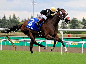 Thoroughbred Horse Racing At Woodbine Racetrack - August 10, 2024