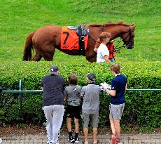 Thoroughbred Horse Racing At Woodbine Racetrack - August 10, 2024