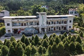 ChineseToday | Guardians of endangered trees in SW China