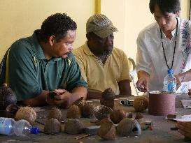 HainanOutlook | Inheritor of coconut shell carving in Hainan dedicates to the innovation and promotion of the art