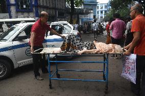 Junior Doctors On Strike In Kolkata, India