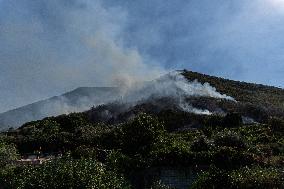 Large Forest Fire In Naples, Monte Pendolo Burns In Gragnano