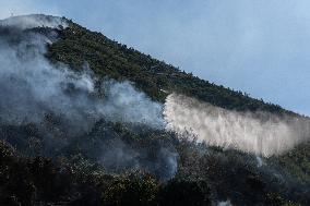 Large Forest Fire In Naples, Monte Pendolo Burns In Gragnano