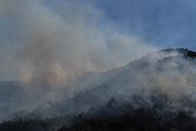 Large Forest Fire In Naples, Monte Pendolo Burns In Gragnano