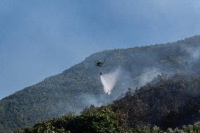 Large Forest Fire In Naples, Monte Pendolo Burns In Gragnano